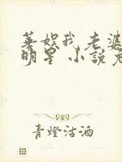 华娱我老婆是大明星 小说免费阅读全集