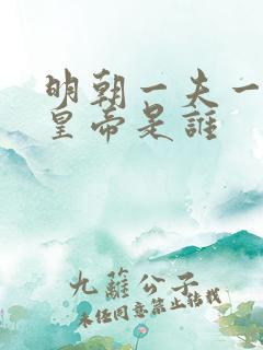 明朝一夫一妻的皇帝是谁