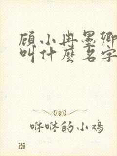 顾小冉墨卿小说叫什么名字