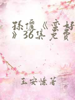 孙俪《蛮好人生》36集免费观看