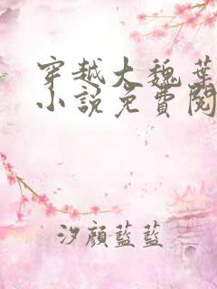 穿越大魏叶离的小说免费阅读