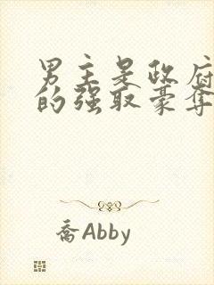 男主是政府高官的强取豪夺高干文