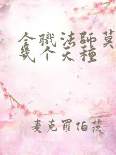 全职法师莫凡有几个天种