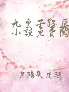 九皇子路辰穿越小说免费阅读