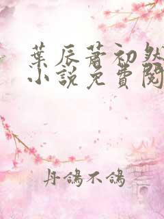 叶辰萧初然最新小说免费阅读