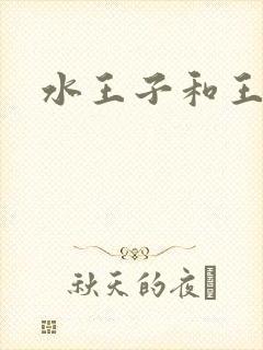 水王子和王默