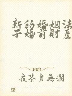 新的婚姻法 女子婚前财产