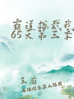 霸道总裁我的365天第三季免费观看全集