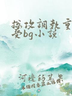 总攻调教重口贱受bg小说