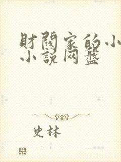 财阀家的小儿子小说网盘