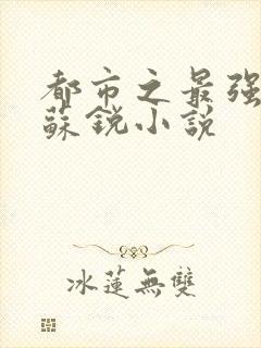 都市之最强狂兵苏锐小说