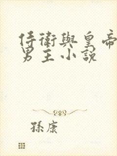 侍卫与皇帝的双男主小说