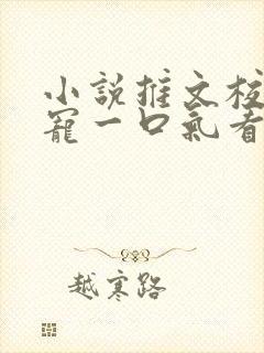 小说推文校园甜宠一口气看完