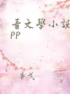 看文学小说的app