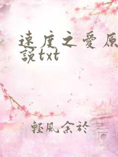 速度之爱原著小说txt