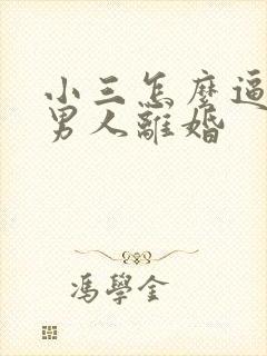 小三怎么逼出轨男人离婚