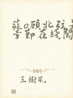 苏o顾北弦最新章节在线阅读