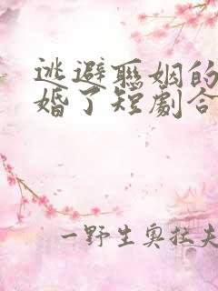 逃避联姻的我闪婚了短剧合集