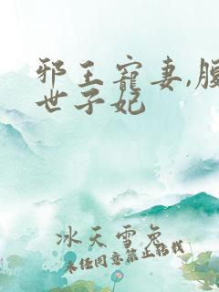 邪王宠妻,腹黑世子妃