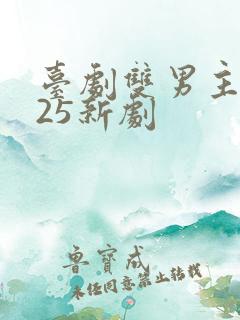 台剧双男主2025新剧