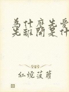 为什么先爱的人先离开是什么歌