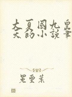 大夏国九皇子夏天的小说笔趣阁