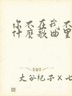 你不在我不在是什么歌曲里的词