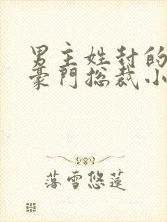 男主姓封的所有豪门总裁小说