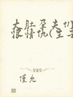 大肚孕夫们的爱恨情仇(生子