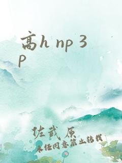 高h np 3p