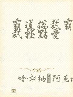 霸道总裁霸道总裁轻点爱