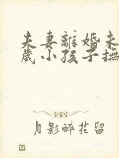 夫妻离婚未满两岁小孩子抚养权归谁