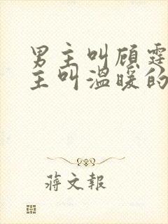 男主叫顾霆琛女主叫温暖的小说