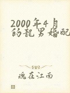 2000年4月的龙男婚配属相