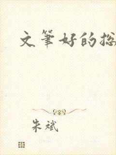 文笔好的总裁文
