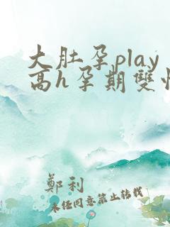 大肚孕play高h孕期双性