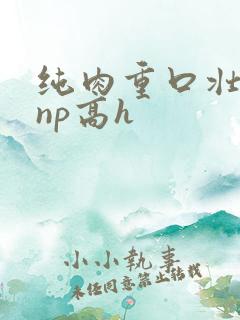 纯肉重口壮汉受np高h