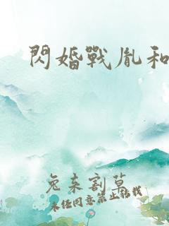 闪婚战胤和海彤