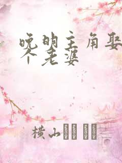 晚明主角娶了几个老婆