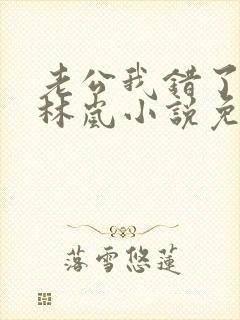 老公我错了赵凯林岚小说免费阅读