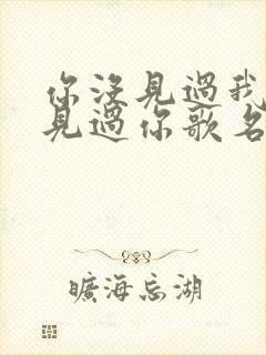 你没见过我我没见过你歌名