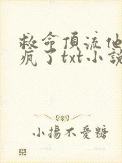 救命顶流他姐玩疯了txt小说下载