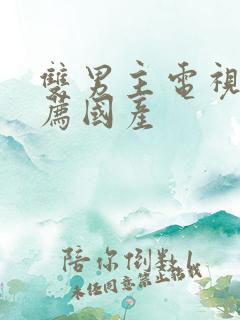 双男主电视剧推荐国产