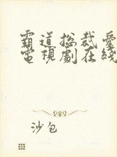 霸道总裁爱上我电视剧在线观看免费