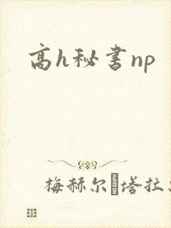 高h秘书np