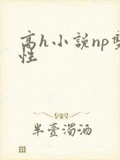 高h小说np双性