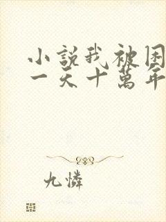 小说我被困在同一天十万年最新章节