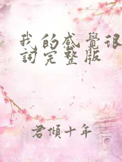 我的感觉很好歌词完整版