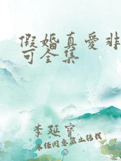 假婚真爱非她不可全集