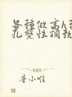 各种做高h玩尿孔双性调教